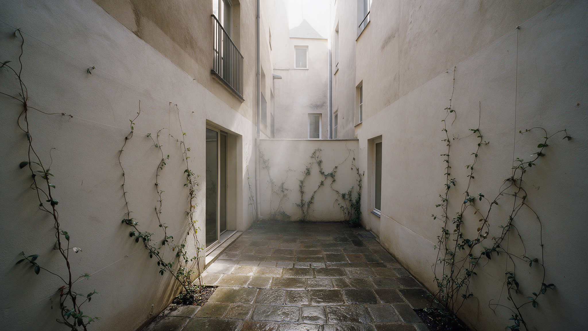 Dense tropical courtyard / lightwell
